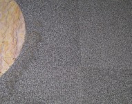 カーペットクリーニング