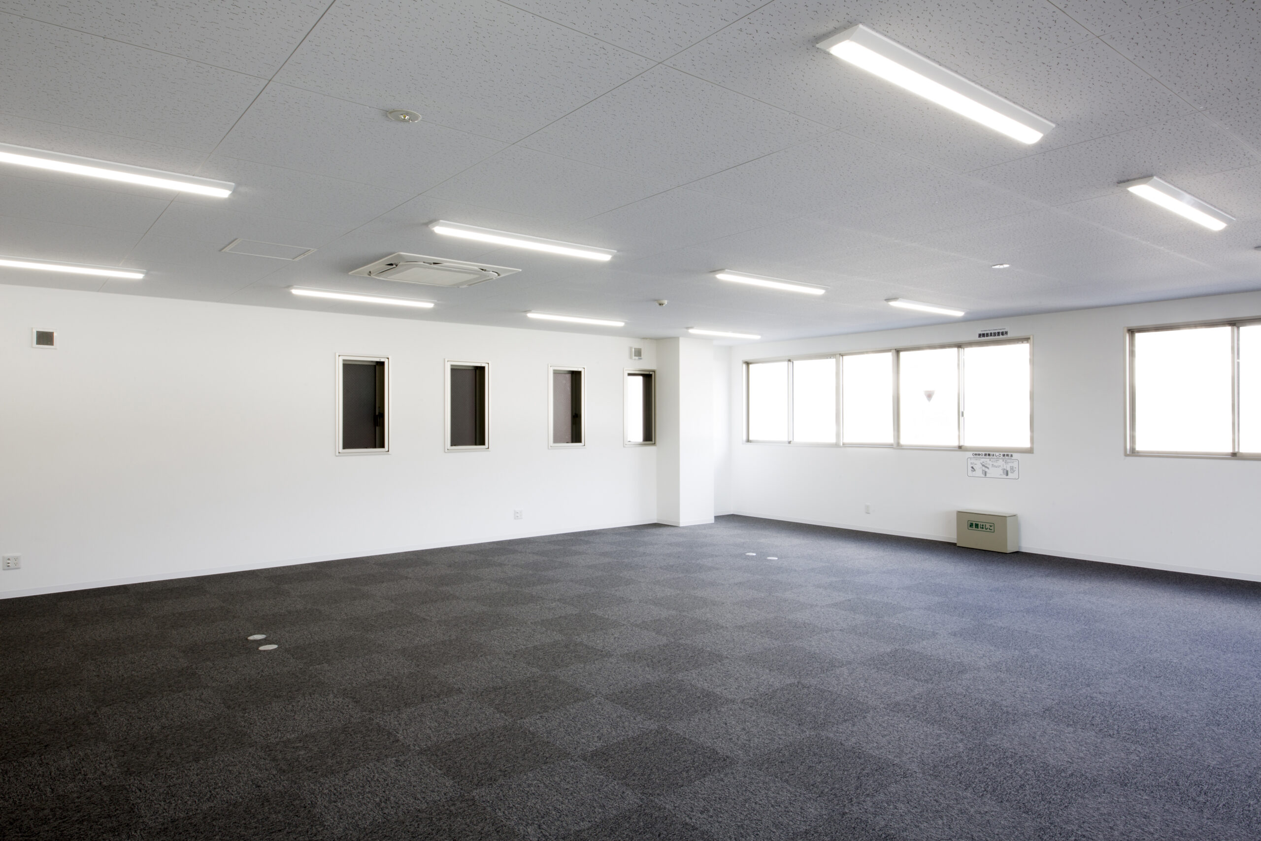 定期的なカーペット清掃が必要な理由