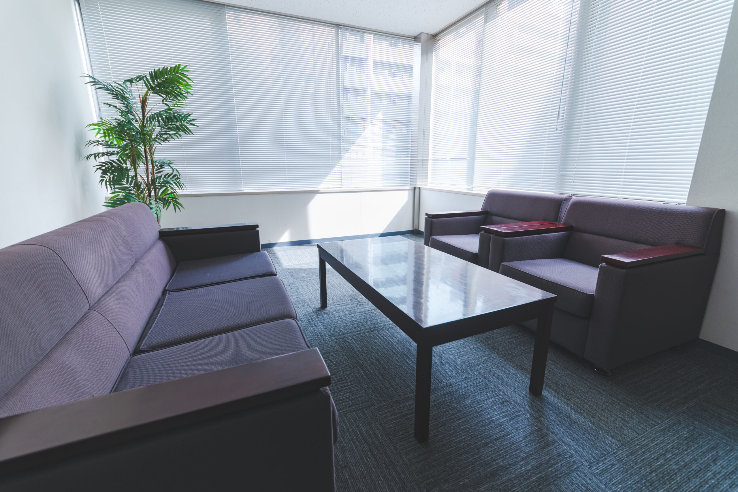 ソファー内部に潜む汚れと衛生リスク